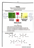 Enzymes (L2) (1).pdf
